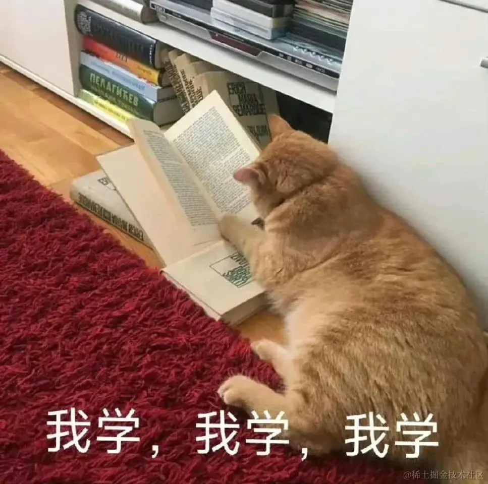 丰富一下你的表情包叭🤪_7_佳佳子_来自小红书网页版.webp